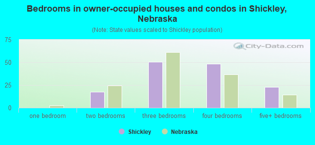 Bedrooms in owner-occupied houses and condos in Shickley, Nebraska