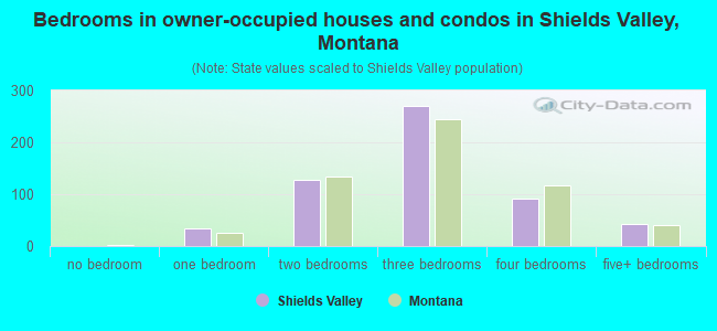 Bedrooms in owner-occupied houses and condos in Shields Valley, Montana