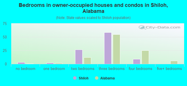 Bedrooms in owner-occupied houses and condos in Shiloh, Alabama