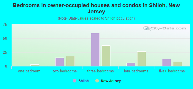 Bedrooms in owner-occupied houses and condos in Shiloh, New Jersey
