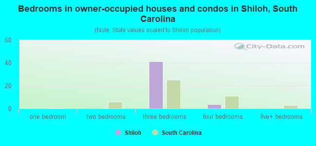Bedrooms in owner-occupied houses and condos in Shiloh, South Carolina