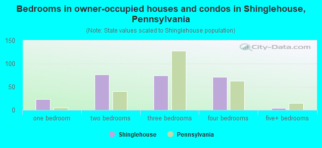 Bedrooms in owner-occupied houses and condos in Shinglehouse, Pennsylvania