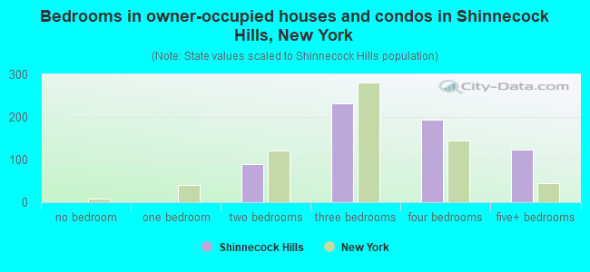 Bedrooms in owner-occupied houses and condos in Shinnecock Hills, New York
