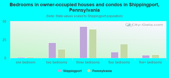Bedrooms in owner-occupied houses and condos in Shippingport, Pennsylvania