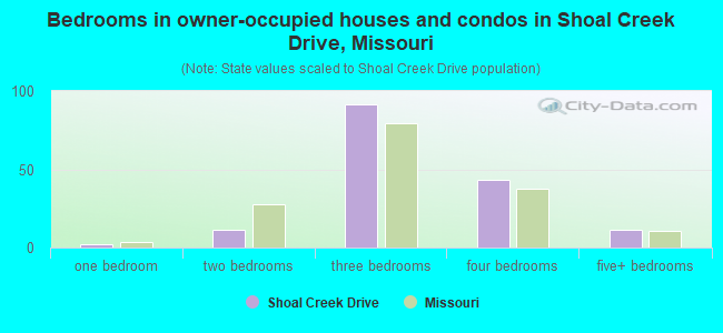 Bedrooms in owner-occupied houses and condos in Shoal Creek Drive, Missouri