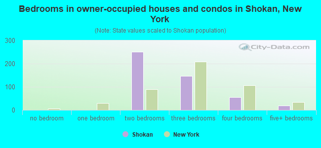 Bedrooms in owner-occupied houses and condos in Shokan, New York