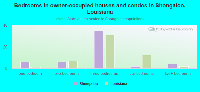 Bedrooms in owner-occupied houses and condos in Shongaloo, Louisiana