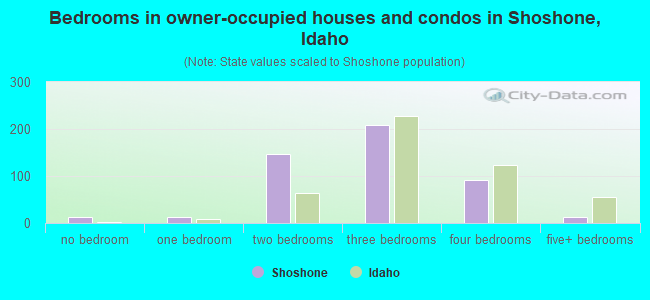 Bedrooms in owner-occupied houses and condos in Shoshone, Idaho