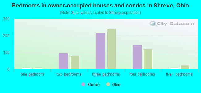 Bedrooms in owner-occupied houses and condos in Shreve, Ohio