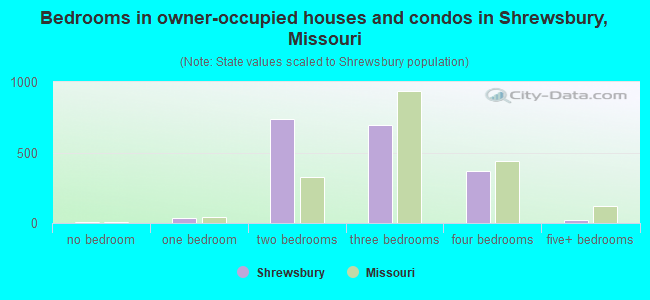 Bedrooms in owner-occupied houses and condos in Shrewsbury, Missouri