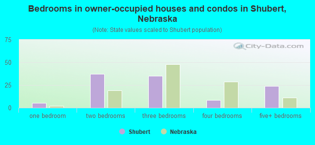 Bedrooms in owner-occupied houses and condos in Shubert, Nebraska