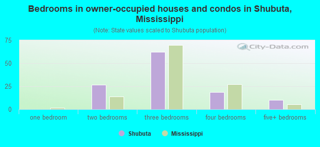 Bedrooms in owner-occupied houses and condos in Shubuta, Mississippi