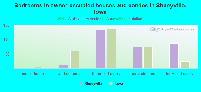 Bedrooms in owner-occupied houses and condos in Shueyville, Iowa