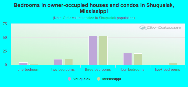Bedrooms in owner-occupied houses and condos in Shuqualak, Mississippi