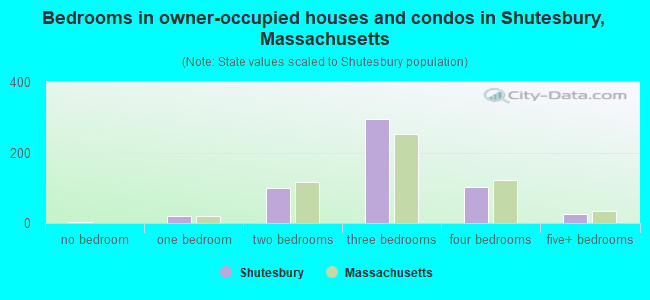 Bedrooms in owner-occupied houses and condos in Shutesbury, Massachusetts
