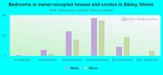 Bedrooms in owner-occupied houses and condos in Sibley, Illinois