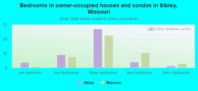 Bedrooms in owner-occupied houses and condos in Sibley, Missouri