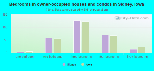 Bedrooms in owner-occupied houses and condos in Sidney, Iowa