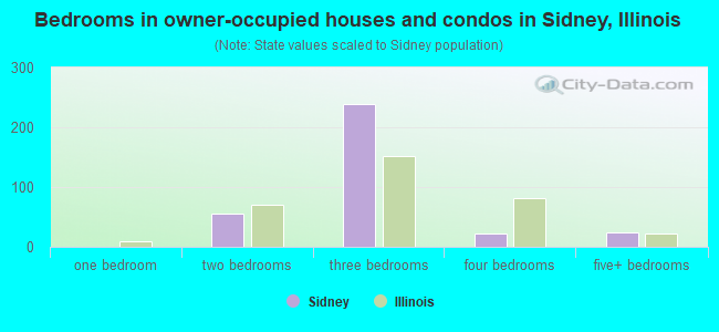 Bedrooms in owner-occupied houses and condos in Sidney, Illinois
