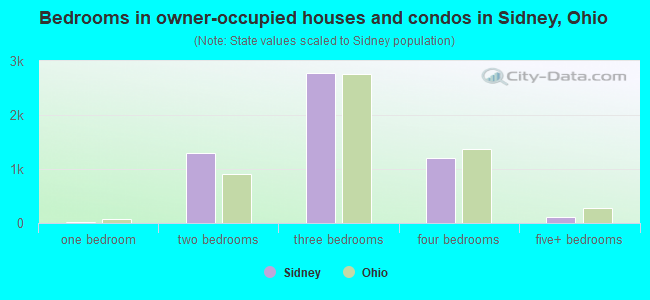 Bedrooms in owner-occupied houses and condos in Sidney, Ohio