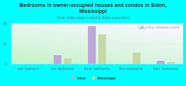 Bedrooms in owner-occupied houses and condos in Sidon, Mississippi