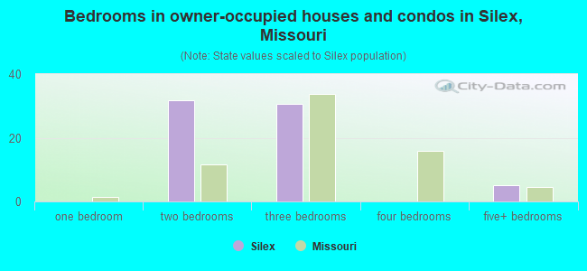 Bedrooms in owner-occupied houses and condos in Silex, Missouri