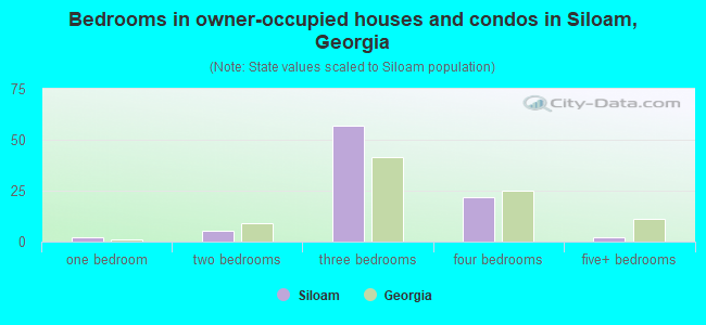 Bedrooms in owner-occupied houses and condos in Siloam, Georgia