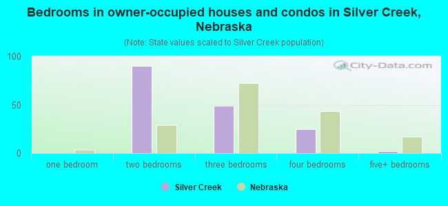 Bedrooms in owner-occupied houses and condos in Silver Creek, Nebraska