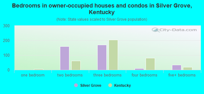 Bedrooms in owner-occupied houses and condos in Silver Grove, Kentucky