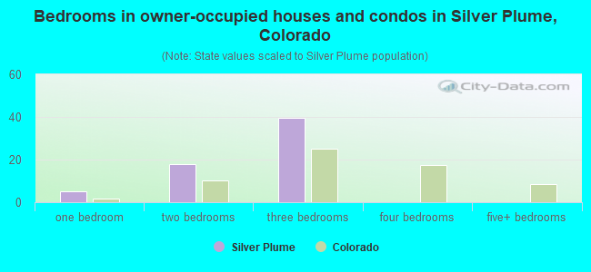 Bedrooms in owner-occupied houses and condos in Silver Plume, Colorado