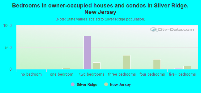Bedrooms in owner-occupied houses and condos in Silver Ridge, New Jersey