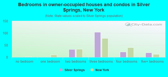 Bedrooms in owner-occupied houses and condos in Silver Springs, New York