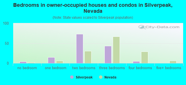 Bedrooms in owner-occupied houses and condos in Silverpeak, Nevada