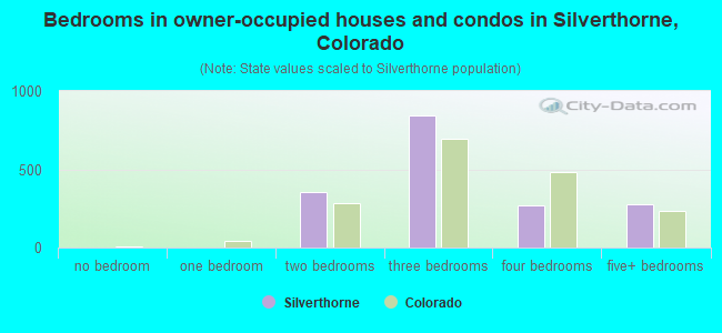 Bedrooms in owner-occupied houses and condos in Silverthorne, Colorado