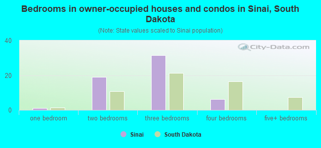 Bedrooms in owner-occupied houses and condos in Sinai, South Dakota