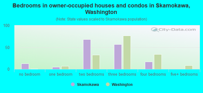 Bedrooms in owner-occupied houses and condos in Skamokawa, Washington