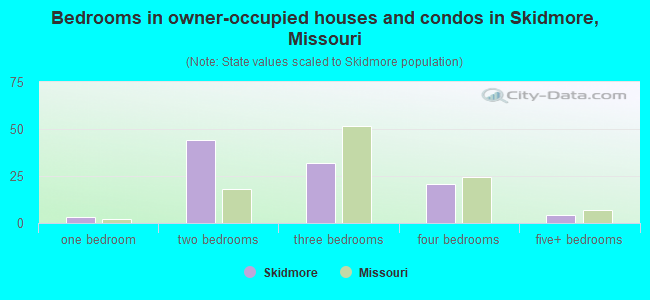 Bedrooms in owner-occupied houses and condos in Skidmore, Missouri