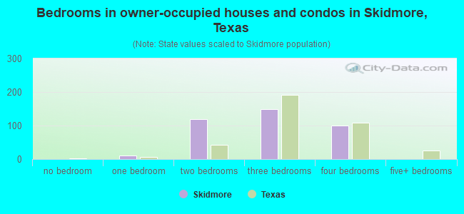 Bedrooms in owner-occupied houses and condos in Skidmore, Texas