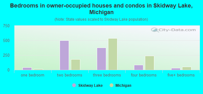 Bedrooms in owner-occupied houses and condos in Skidway Lake, Michigan