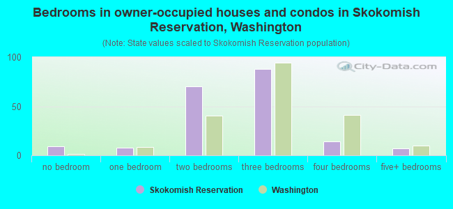 Bedrooms in owner-occupied houses and condos in Skokomish Reservation, Washington
