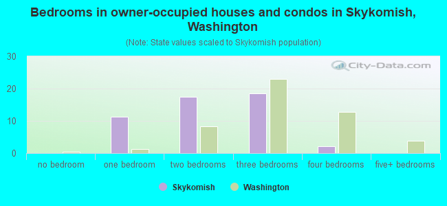Bedrooms in owner-occupied houses and condos in Skykomish, Washington