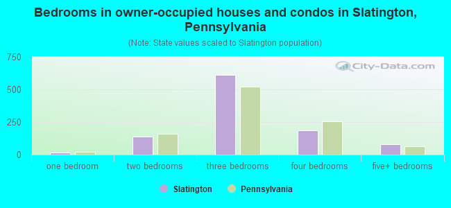 Bedrooms in owner-occupied houses and condos in Slatington, Pennsylvania