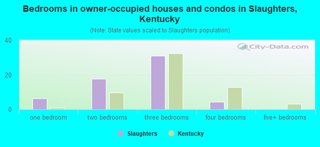 Bedrooms in owner-occupied houses and condos in Slaughters, Kentucky