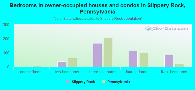 Bedrooms in owner-occupied houses and condos in Slippery Rock, Pennsylvania