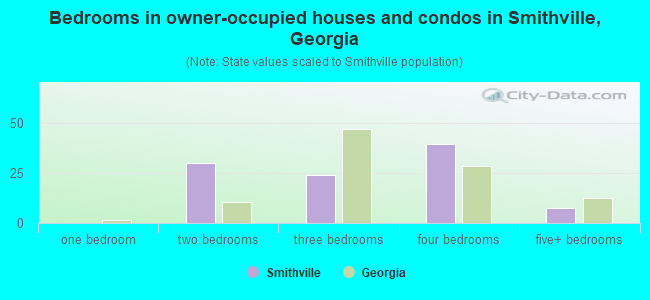 Bedrooms in owner-occupied houses and condos in Smithville, Georgia