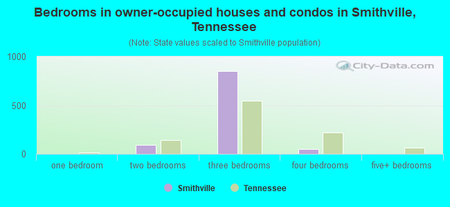 Bedrooms in owner-occupied houses and condos in Smithville, Tennessee