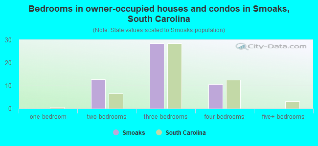 Bedrooms in owner-occupied houses and condos in Smoaks, South Carolina