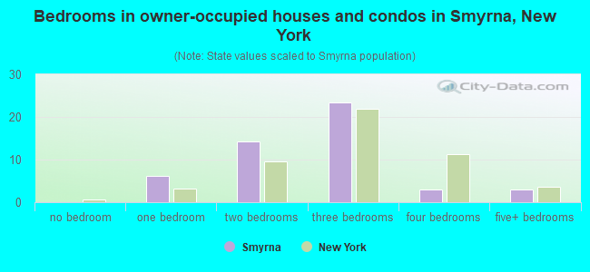 Bedrooms in owner-occupied houses and condos in Smyrna, New York
