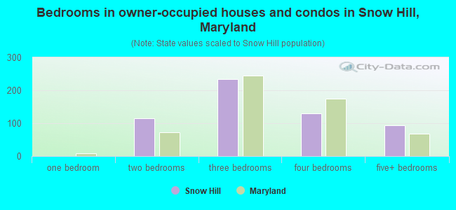 Bedrooms in owner-occupied houses and condos in Snow Hill, Maryland