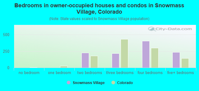 Bedrooms in owner-occupied houses and condos in Snowmass Village, Colorado